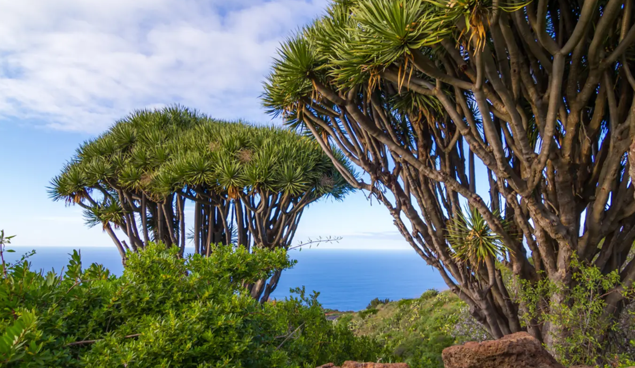 Turismo sostenible en la Isla de La Palma